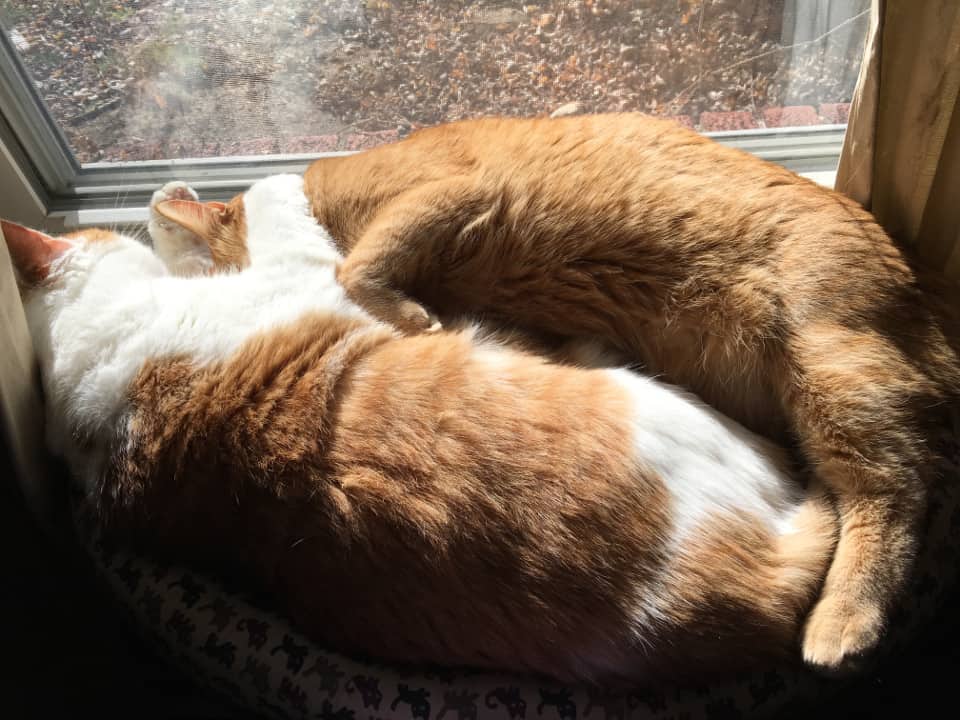 Buster and Jake