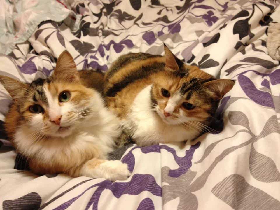 Lina and Kilala
